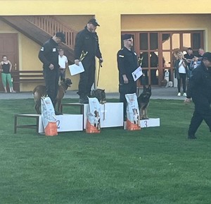 Międzynarodowe Zawody Kynologiczne w Czechach