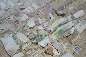podarte wydrukowane banknoty