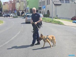 policjant z psem policyjnym idący drogą