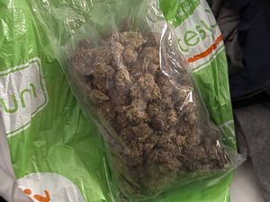 marihuana w woreczku foliowym