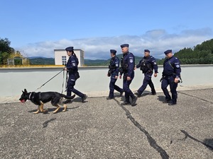 ćwiczenia policjantów Samodzielnych pododdziałów kontrterrorystycznych Policji na tamie