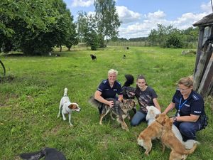 Policjantki pomagają psom ze schroniska