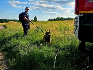 poszukiwania osób zaginionych - działania policji