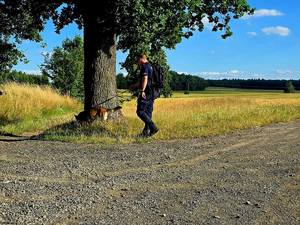 poszukiwania osób zaginionych - działania policji