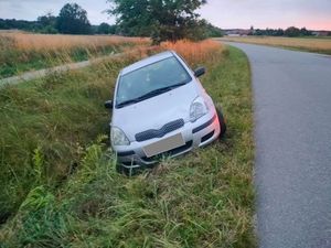 auto w rowie