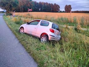 auto w rowie