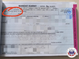 mandat karny