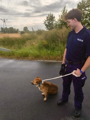 policjant z uratowanym psem na smyczy