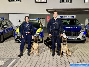 Policjantka i policjant z psami policyjnymi na tle radiowózów