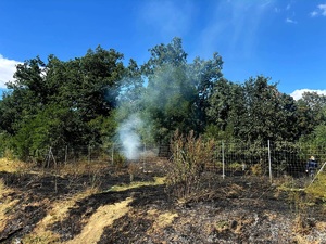 pożar