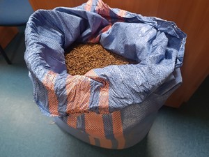 tytoń w worku