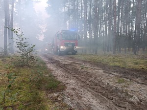 dym w lesie , wozy strażackie na ścieżce leśnej