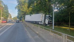 Ciężarówka zjechała z drogi