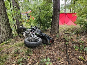 motocykl leżący w lesie obok drzewa