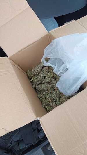 Policjanci legnickiego SPPP zatrzymali dwóch mężczyzn, którzy posiadali środki odurzające