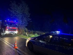 radiowóz i wóz strażacki na drodze - pora nocna