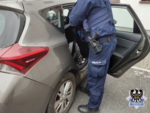 policjant z zatrzymanym wprowadzanym do radiwozu