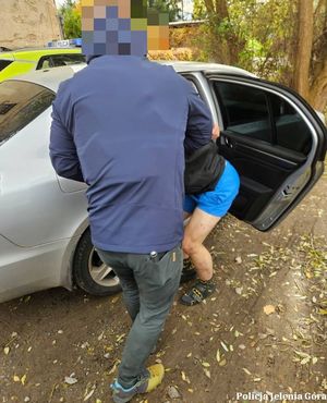 policjant wprowadza zatrzymanego do samochodu