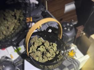 Areszt za uprawę i posiadanie znacznej ilości narkotyków