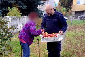 policjant niesie skrzynkę jabłek kobiecie z balkonikiem stojącej obok niego