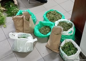 Rozbita międzynarodowa grupa przestępcza - 25 osób objętych aktem oskarżenia