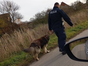 policjant z psem na poboczu