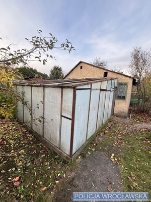 uprawa konopi na ogródkach działkowych