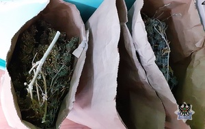 zabezpieczone narkotyki