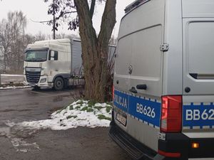 radiowóz a za nim zatrzymany tir