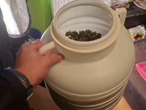 zabezpieczone narkotyki