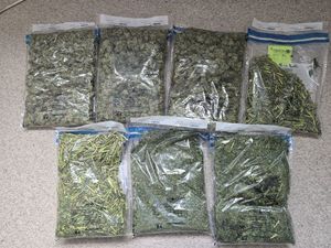 zabezpieczony susz roślinny