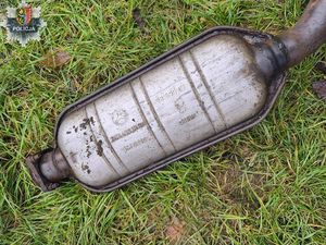 katalizator na trawie