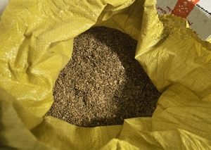 rozbita zorganizowana grupa przestępcza handlująca nielegalnymi wyrobami tytoniowymi