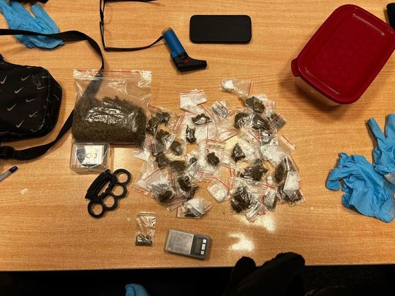 waga jubilerska, susz roślinny znajdujący się w wielu woreczkach strunowych, kastet