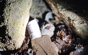 ukryte zwinięte narkotyki