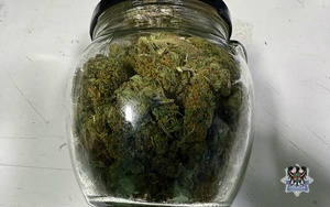 susz marihuany w słoiku