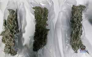 susz marihuany w woreczkach