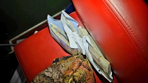 Legniccy policjanci kolejny raz likwidują punkty hazardowe