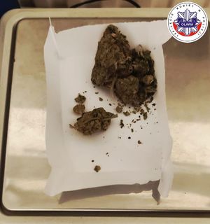 susz marihuany na kartce papieru