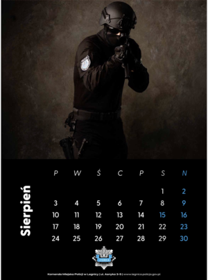 kartki z kalendarza  z każdego miesiąca ze zdjęciem policjantki lub policjanta