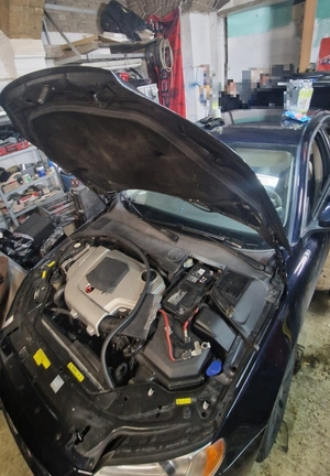 widok z dziupli w której odzyskano skradzione auto