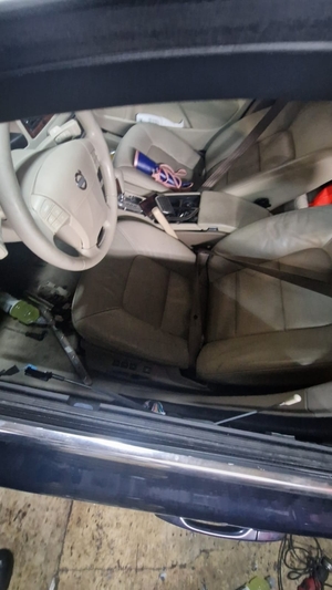 widok z dziupli w której odzyskano skradzione auto