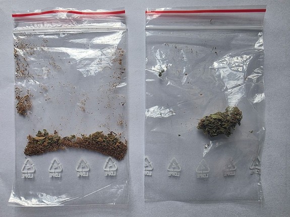 marihuana w dwóch woreczkach strunowych