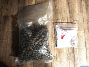 narkotyki w woreczkach strunowych