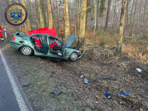 wypadki na terenie dolnego śląska