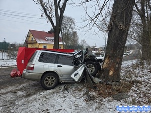 kompletnie zniszczony samochód po uderzeniu w drzewo