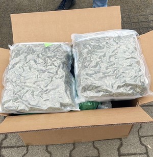 Kolejne skuteczne uderzenie ząbkowickich policjantów w przestępczość narkotykową. 59 kilogramów marihuany nie trafi na rynek