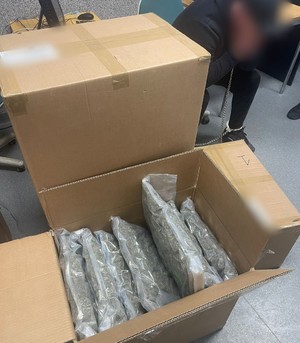 Kolejne skuteczne uderzenie ząbkowickich policjantów w przestępczość narkotykową. 59 kilogramów marihuany nie trafi na rynek