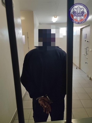 Areszt dla sprawcy. Nie ma przyzwolenia na przemoc domową