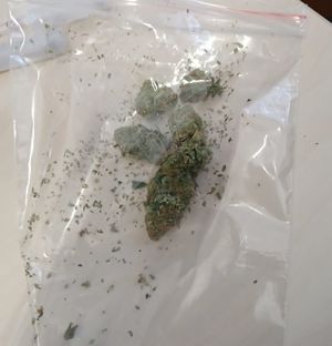 zabezpieczone narkotyki